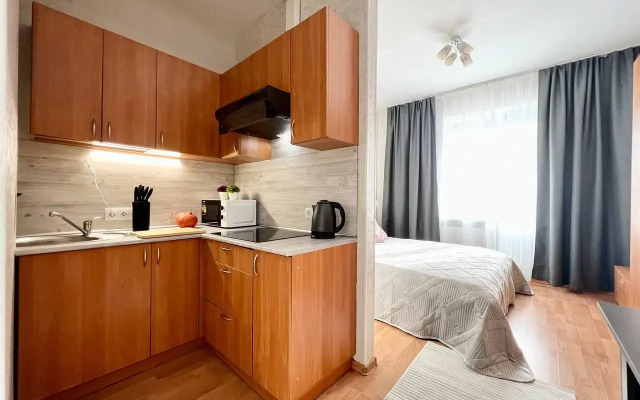 Studiya Gosti Doma U Metro Pionerskaya Flat