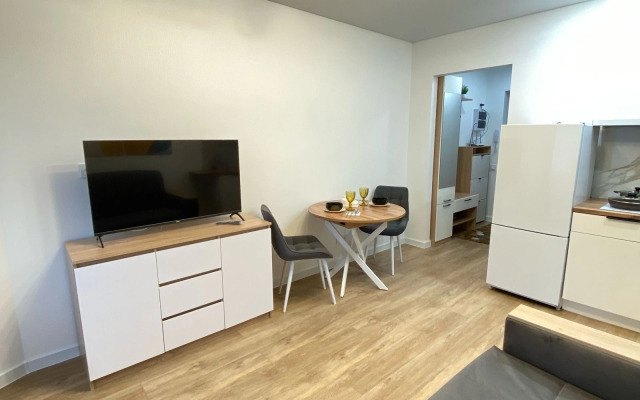 Uyutnaya Studiya v Lomonosove Apartments