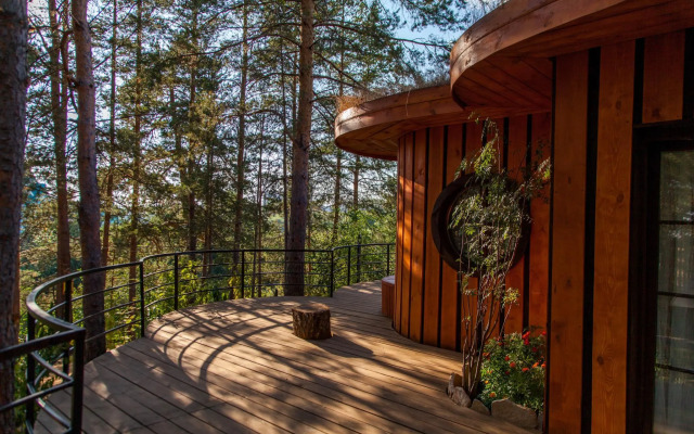 Отель Сорока