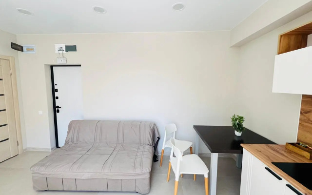 Odnokomnatnaya Na Chetverykh S Otdelnoy Spalney Apartment