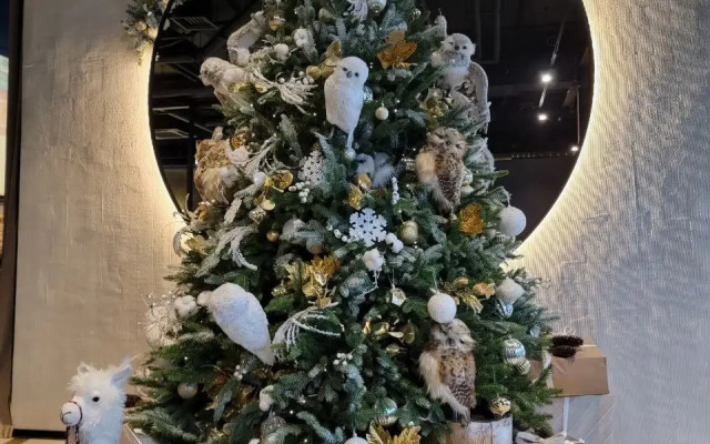 Апартаменты Студия в ценре города