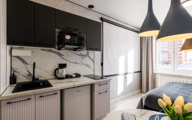 Apartamenty Meduza apart uutnye kino-studii s proektorami No3