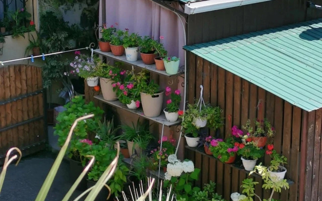 Меблированные комнаты ОлимпПарк