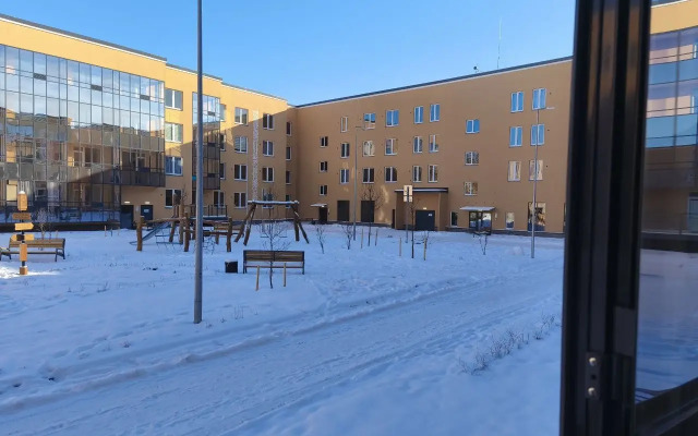 V Petrodvortsovom Rayone Flat