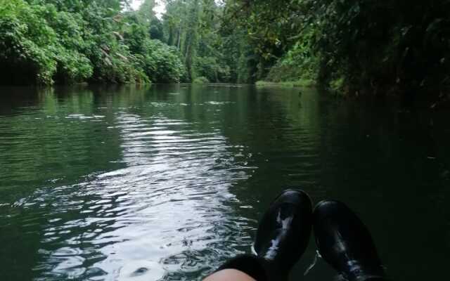 Rio Agujitas Eco Farm and Tours Camping