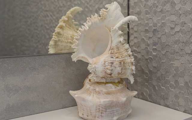 Апартаменты Sea View Golden Bridge