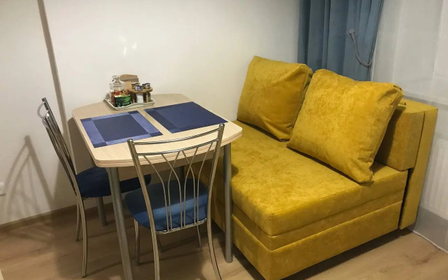 Квартира однокомнатная рядом с НИИ Петрова