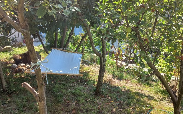 Zelyonaya Gora Guest house