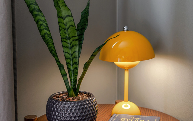 Квартира на Петроградской