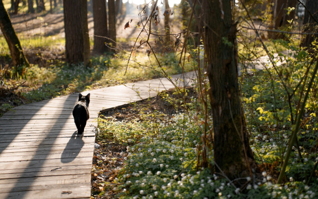 Глэмпинг Море