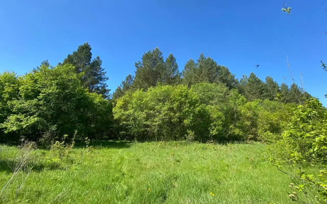 Вилла Усадьба Лесной Рай