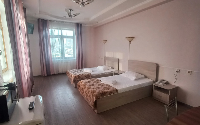 Smart Hotel KDO Krasnoyarsk Hotel