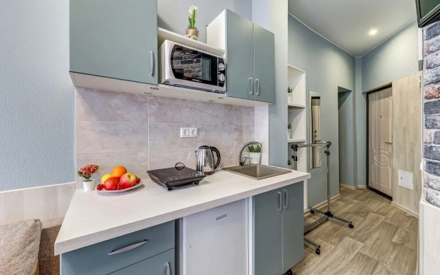 Апартаменты на Старорусской рядом с Московским вокзалом (СР5)