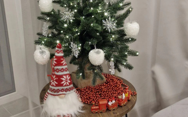 Апартаменты на Алферова 10