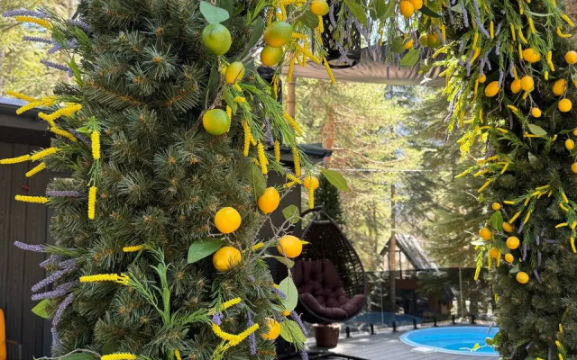 Magic Forest Glamping