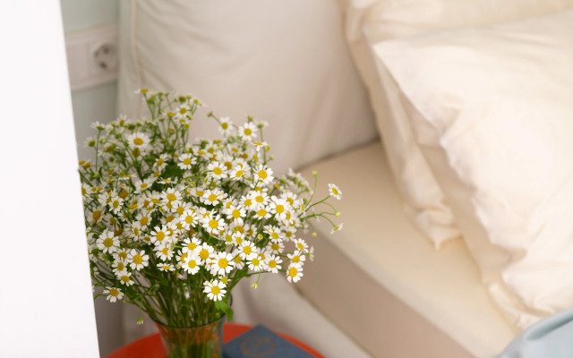 Апартаменты с тремя спальнями на Петроградской стороне