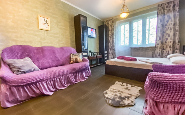 Uyutnaya kvartira vozle Sheremet'evo Flat
