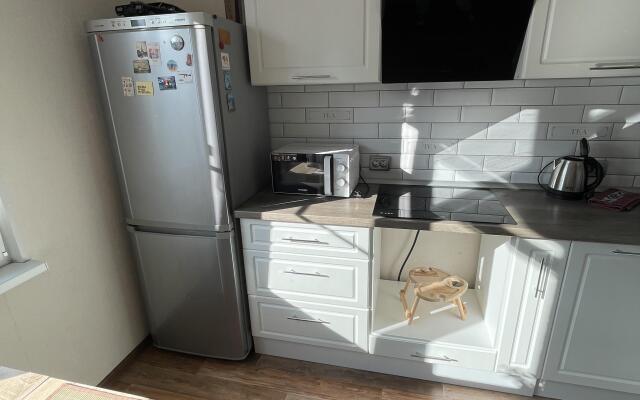 Квартира Уютная квартира на берегу Финского залива