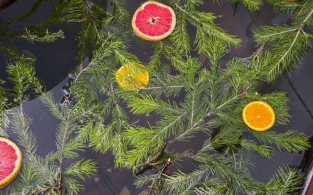 Частный дом Речная Заимка