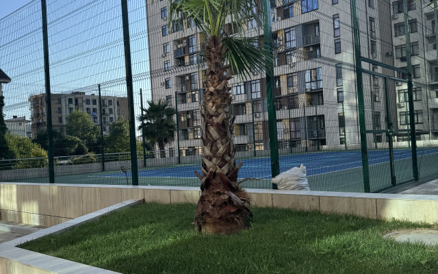 Uyutnaya V Samom Zhivopisnom Meste Goroda Sochi Flat