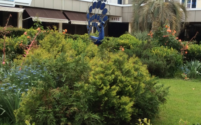 Magnoliya Hotel
