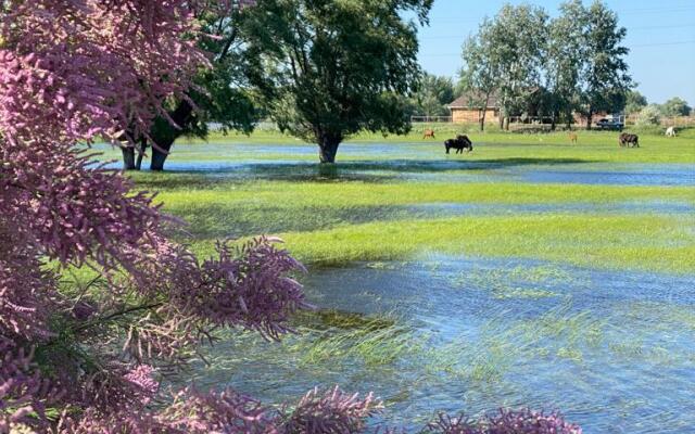 База отдыха Домик в Лотосах