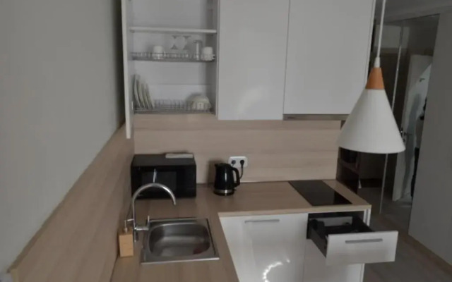 Yes s Vidom na Sad Apartment Hotel