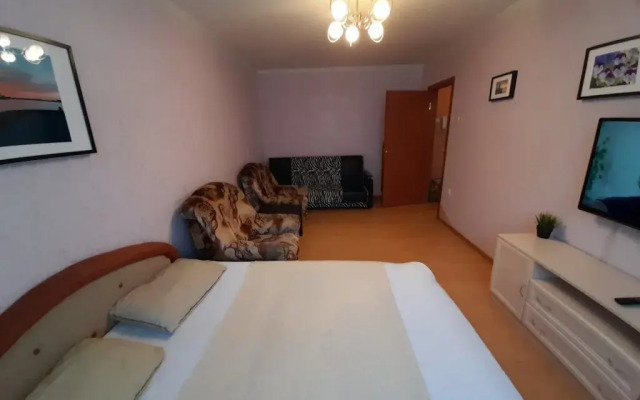 Апартаменты с 1 комнатой у кинотеатра «Мурманск» (КВАРТИРА51)