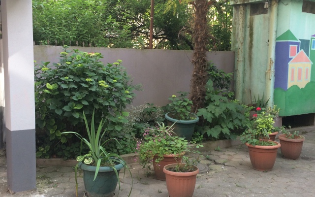 A Cosy House Hostel