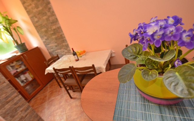Rapovac Kotor Apartments