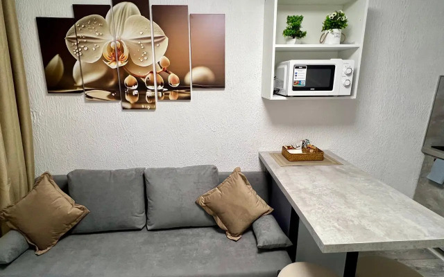 Апартаменты N3 на Петроградке