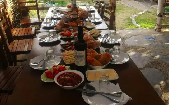 Old Omalo Guest house