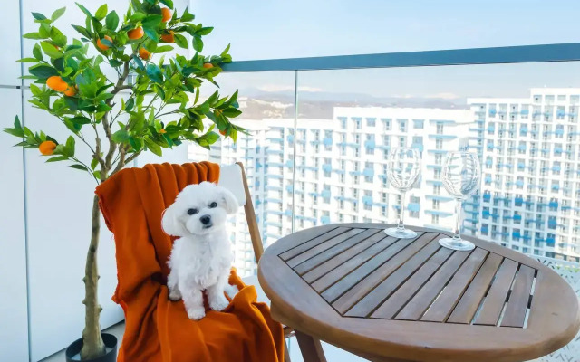 Квартира Солнечная студия с видом на горы