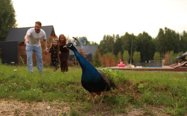 Шале Варилка