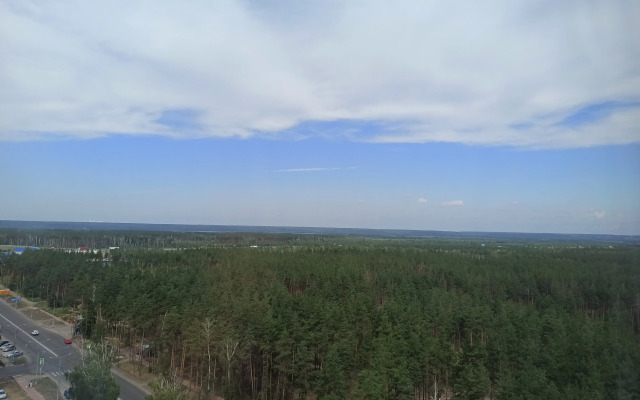 Квартира с видом на сосновый бор