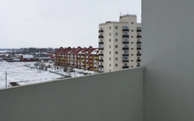 Odnokomnatnaya Flat