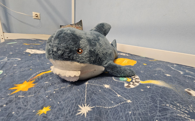 Bolshaya Kvartira Na Borisovke Zona Komforta Flat