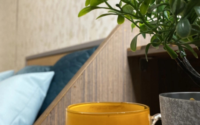 Apartamenty S Balkonom Na Polevaya 10