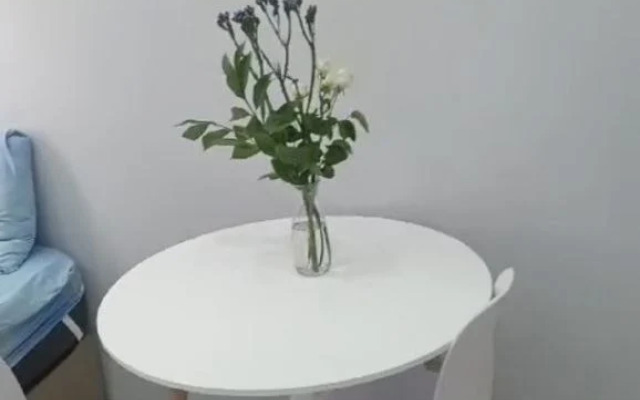 Uyutnaya studiya na beregu chernogo morya Apartments