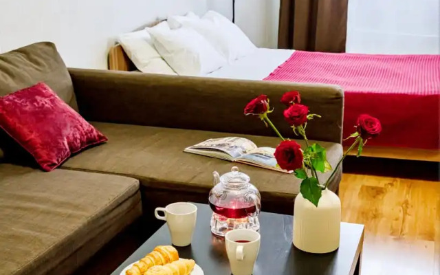 Апартаменты Двухкомнатные Apart Seasons Белинского 177/3