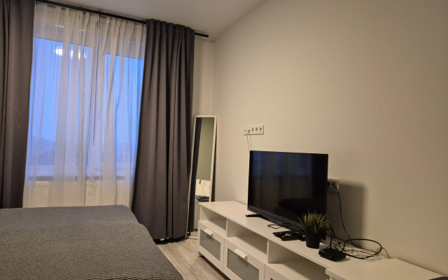 Апартаменты Скромная Студия у м Бухарестская