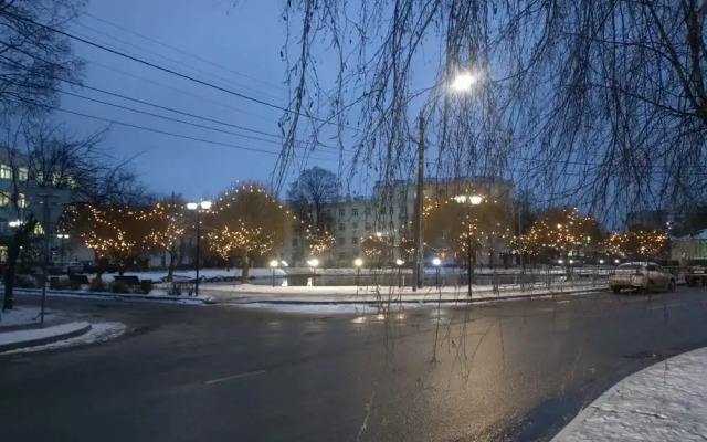 Квартира Студия в усадьбе Васильчиковых