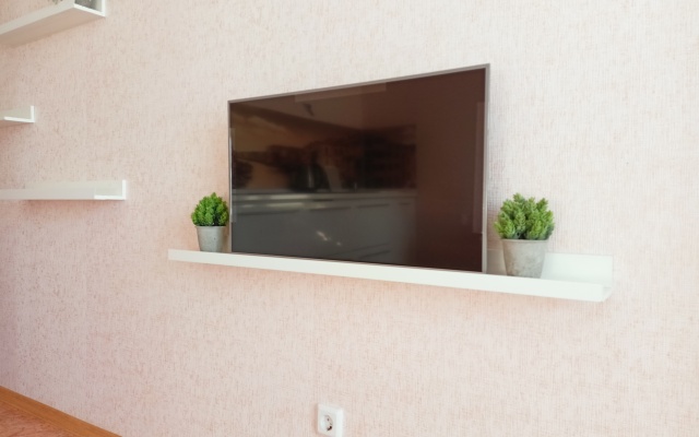 Studiya S Vidom Na Ozero Flat