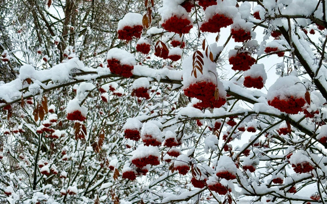 Частный Дом Вблизи Моря с Зоной BBQ