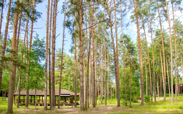 Losevo Park Holiday Camp