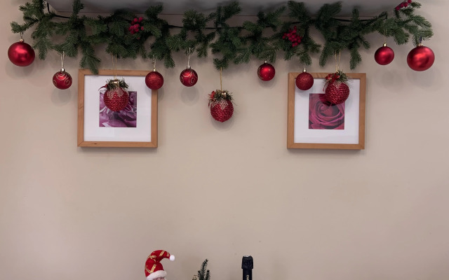 Квартира Уютная в Тихом Центре на Роз 65 10 Минут до Моря