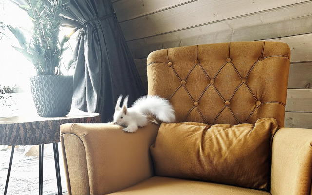 База отдыха Берега