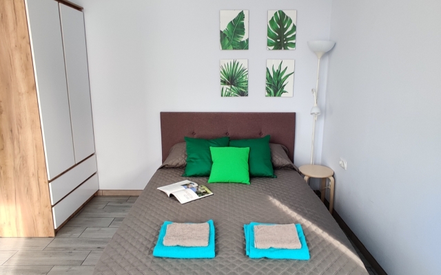 Uyutnaya Studiya U Parka Flat
