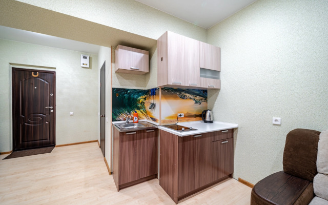 Studiya S Otdelnoy Spalnoy Zonoy Flat