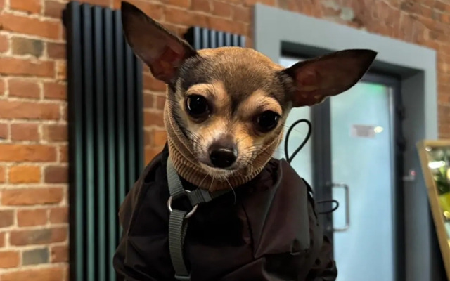 Отель Gutenberg